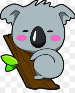 KOALA